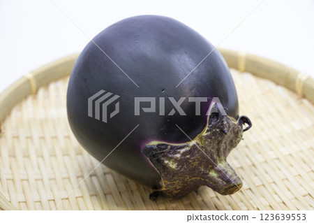 Kamo-ness Kamo-ness 123639553