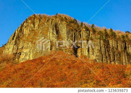 二口溪谷岩石的紅葉 123639873