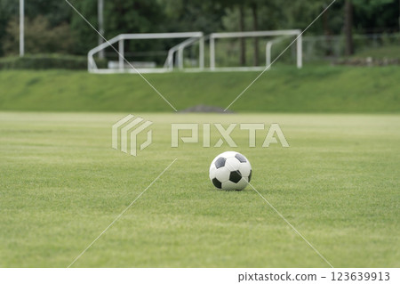 草坪與足球（足球場、世界盃、俱樂部活動、五人制足球） 123639913