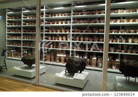 View of the storage facility_Sannai Maruyama 123640014