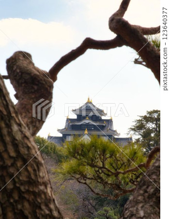 岡山後樂園 岡山後樂園 123640377
