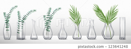 Tall cylindrical transparent glass vase Tall cylindrical transparent glass vase 123641248