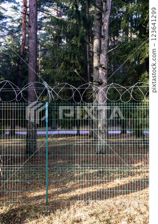 Barbed wire fence on border in forest  123641299