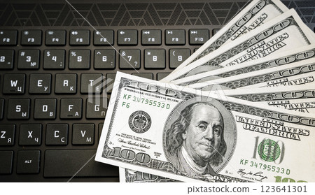 Dollars on keyboard computer. Money in internet and earnings concept  123641301
