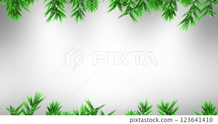 Image of fir trees branches over white background Image of fir trees branches over white background 123641410