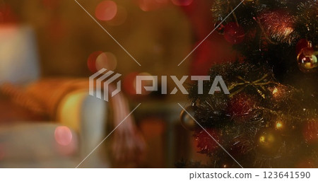 Image of flickering fairy lights on christmas tree in the background 123641590