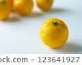 Yuzu on white background 123641927