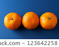 Mandarins placed on a blue background 123642258