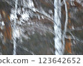 Abstract motion blur effect. Trees in the forest in the winter. Digital art. 123642652