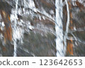 Abstract motion blur effect. Winter forest landscape. Abstract blurred pastel  background. Digital art. 123642653