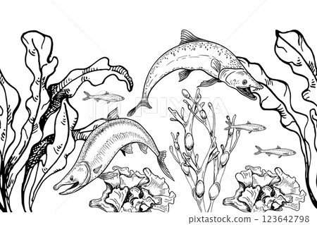 Seamless underwater monochrome banner with salmon hand drawn fish, seaweed, and coral. Trout black and white marine illustration vector repeat border for packaging, label, scrapbooking, textile. 123642798