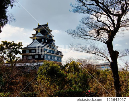 Okayama Castle Okayama Castle 123643037