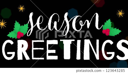 Image of season's greetings text with flickering fairy lights on black background Image of season's greetings text with flickering fairy lights on black background 123643285