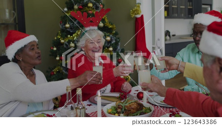 Senior friends celebrate the festive season at home Senior friends celebrate the festive season at home 123643386