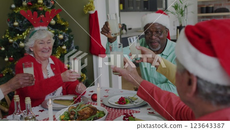 Senior Caucasian woman and Senior African American man toast at a festive table, with copy space Senior Caucasian woman and Senior African American man toast at a festive table, with copy space 123643387