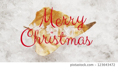 Image of christmas greetings text over christmas leaf and snow 123643472