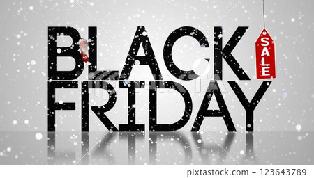 Image of snow falling over black friday text 123643789