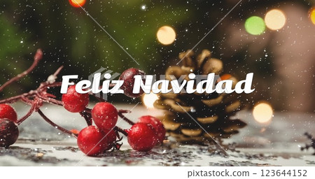 Image of feliz navidad text over snow falling with christmas decorations Image of feliz navidad text over snow falling with christmas decorations 123644152