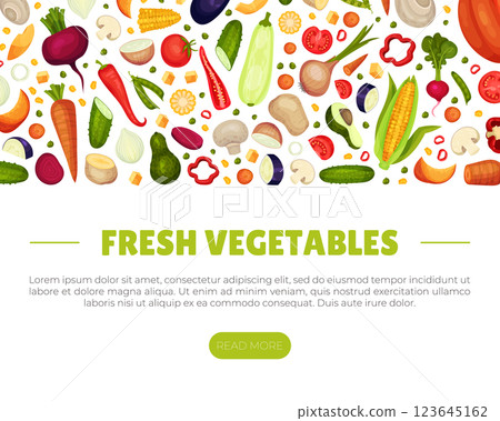 Raw Vegetables and Organic Healthy Food Banner Design Vector Template Raw Vegetables and Organic Healthy Food Banner Design Vector Template 123645162