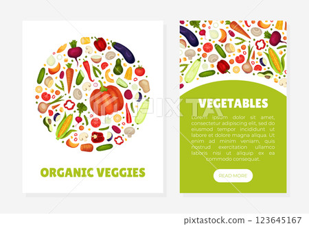 Raw Vegetables and Organic Healthy Food Banner Design Vector Template Raw Vegetables and Organic Healthy Food Banner Design Vector Template 123645167