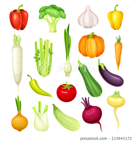 Raw Vegetables and Organic Healthy Food Vector Set 123645172