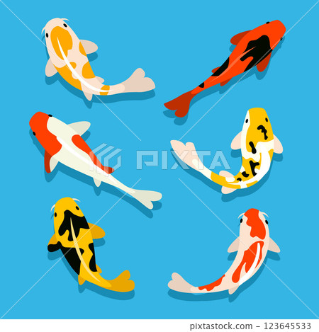 Realistic koi fish set 123645533