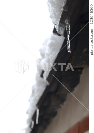 Icicles on the traditional wall of Gyeongbokgung Palace 123646560