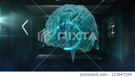 Image of human brain and data processing 123647104