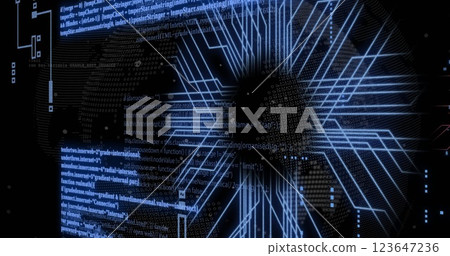Image of digital data processing over computer circuit board and globe Image of digital data processing over computer circuit board and globe 123647236