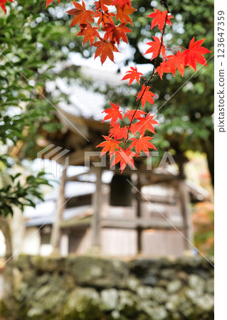 Keisokuji Temple 2023 Late Autumn 123647359