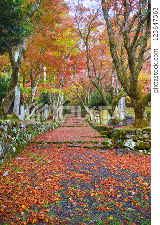 Keisokuji Temple 2023 Late Autumn 123647363