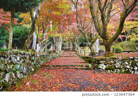 Keisokuji Temple 2023 Late Autumn Keisokuji Temple 2023 Late Autumn 123647364