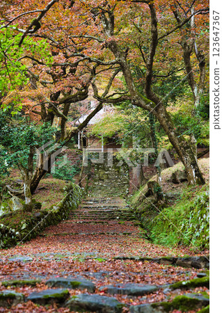 Keisokuji Temple 2023 Late Autumn 123647367