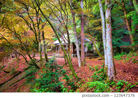 Keisokuji Temple 2023 Late Autumn 123647376