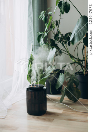 Diffuser, apartment with moisturizer. Modern humidifier at home, moistens dry air surrounded by indoor Monstera houseplant. Humidification, plant care, comfortable living conditions concept. 123647678