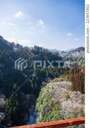 Takachiho Gorge Tenson Korin, a tourist destination in Miyazaki Prefecture 123647802