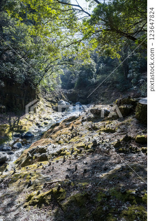 宮崎縣的旅遊勝地高千穗峽Tenson Korin 宮崎縣的旅遊勝地高千穗峽Tenson Korin 123647824