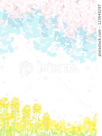 Cherry blossoms and spring sky, rapeseed field 123648297