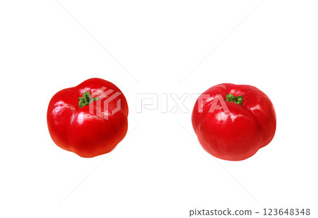 Acerola 插圖逼真的白色背景 123648348