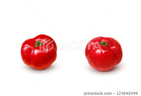 Acerola illustration realistic white background 123648349