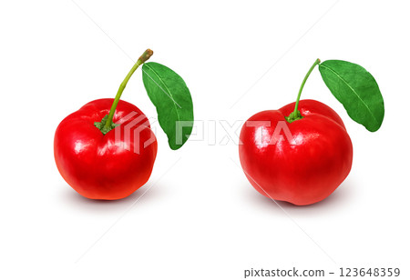 Acerola 插圖逼真的白色背景 Acerola 插圖逼真的白色背景 123648359