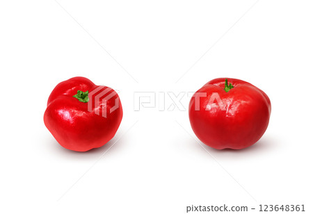 Acerola 插圖逼真的白色背景 123648361