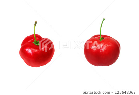 Acerola illustration realistic white background Acerola illustration realistic white background 123648362