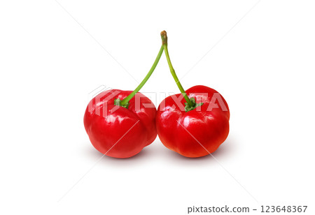 Acerola illustration realistic white background Acerola illustration realistic white background 123648367