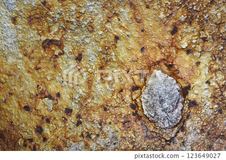 Metal surface 123649027