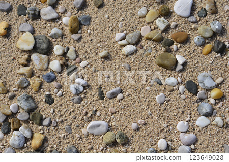 Pebbels on sandy beach 123649028