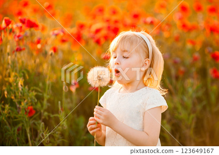 A happy blonde girl blows on a giant white dandelion against the backdrop of a poppy field at sunset A happy blonde girl blows on a giant white dandelion against the backdrop of a poppy field at sunset 123649167