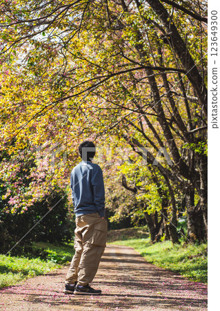 solo traveler in nature concept with asian man camping and sightseeing with pink cherry blossom tree in springtime season solo traveler in nature concept with asian man camping and sightseeing with pink cherry blossom tree in springtime season 123649300