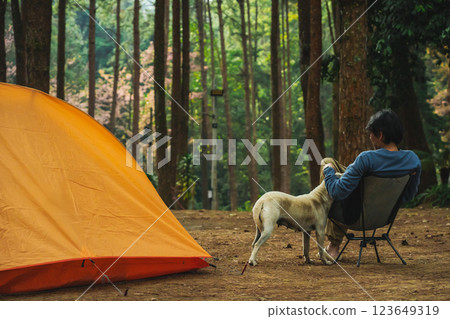solo traveler in nature concept with asian man camping and see pink cherry blossom tree and pine tree with sunrise in springtime season solo traveler in nature concept with asian man camping and see pink cherry blossom tree and pine tree with sunrise in springtime season 123649319