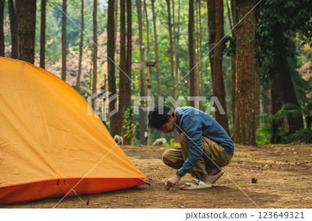 solo traveler in nature concept with asian man camping and see pink cherry blossom tree and pine tree with sunrise in springtime season solo traveler in nature concept with asian man camping and see pink cherry blossom tree and pine tree with sunrise in springtime season 123649321